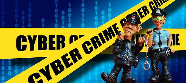 cyber crime in public safety