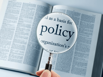 The word "policy" being examined in the dictionary